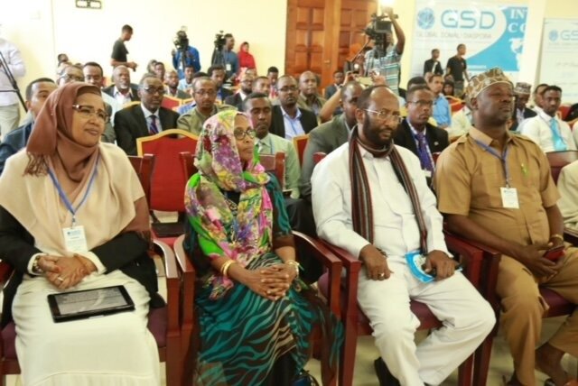 The Role of the Somali Diaspora in Global Development